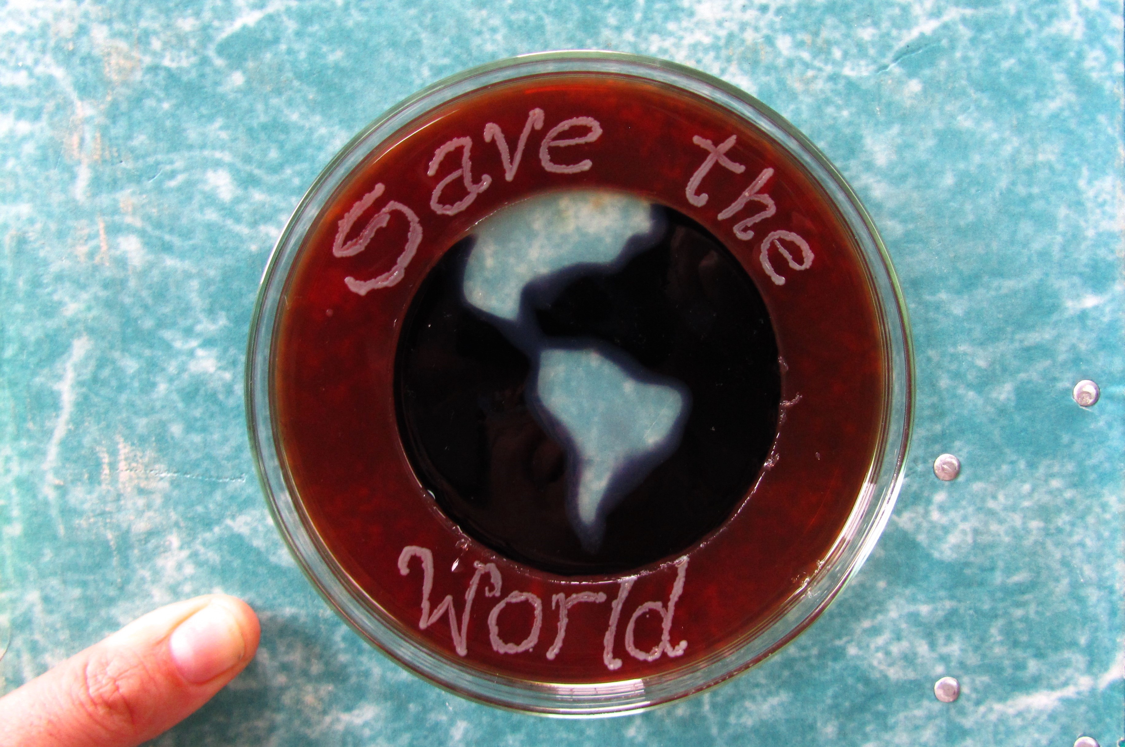Save the world